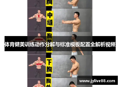 体育健美训练动作分解与标准模板配置全解析视频